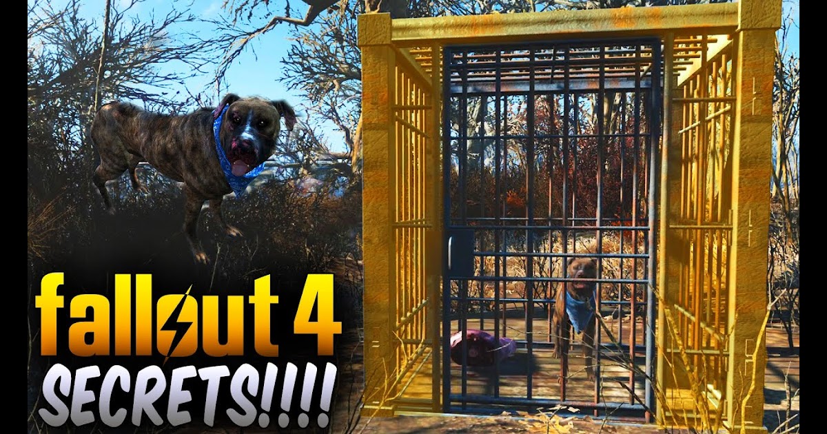 Xxxnoen Twodynamic Fallout 4 Secrets Secret Caged Dog That Leads You To A Secret Trader Fallout 4 Things To Know