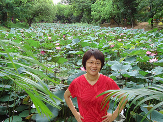 台南公園賞荷/無限台南