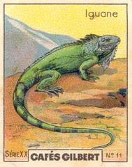 gilbert reptile 11