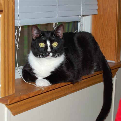 Friday and the wrecked blinds