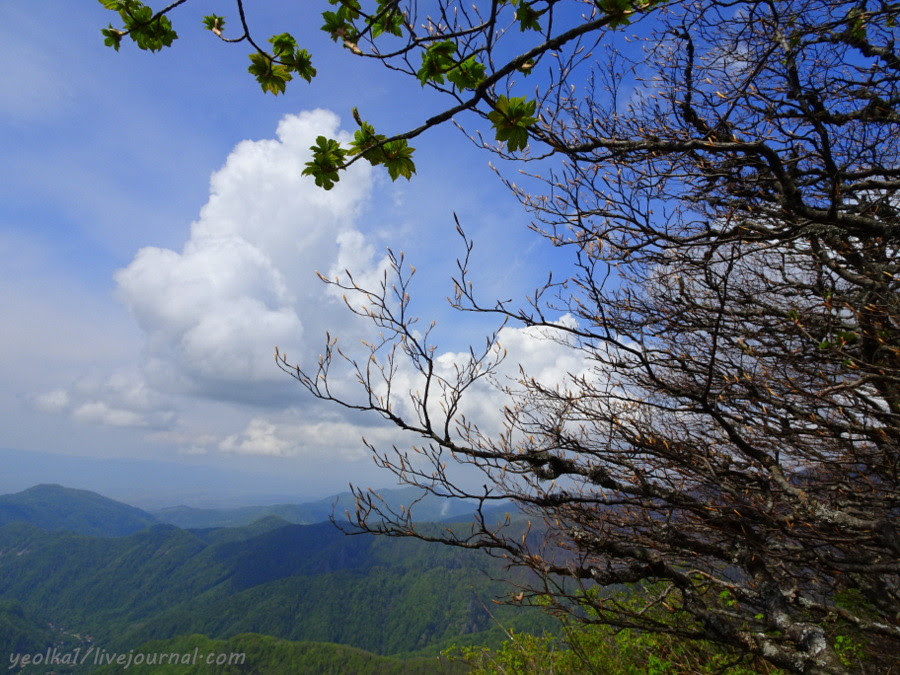 DSC03975-001 DSC03975-001