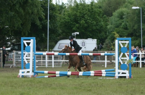 Showjumping