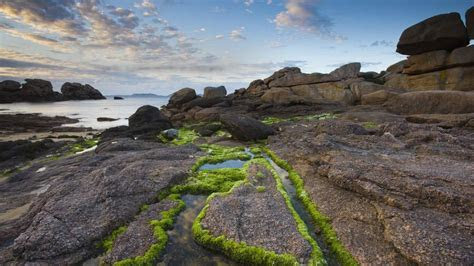 Bing wallpaper AllWallpaper.in #10919 PC en Bing wallpaper AllWallpaper.in #10919 PC en