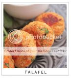 http://i402.photobucket.com/albums/pp103/Sushiina/TAGS/falafel_zps47fb3d24.jpg