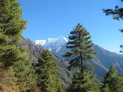 Kusum Kanguru Kusum Kanguru