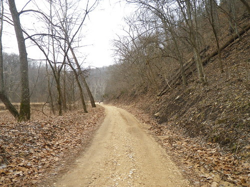 IMGP0497