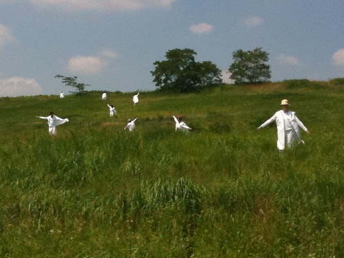 Dancers on the hill