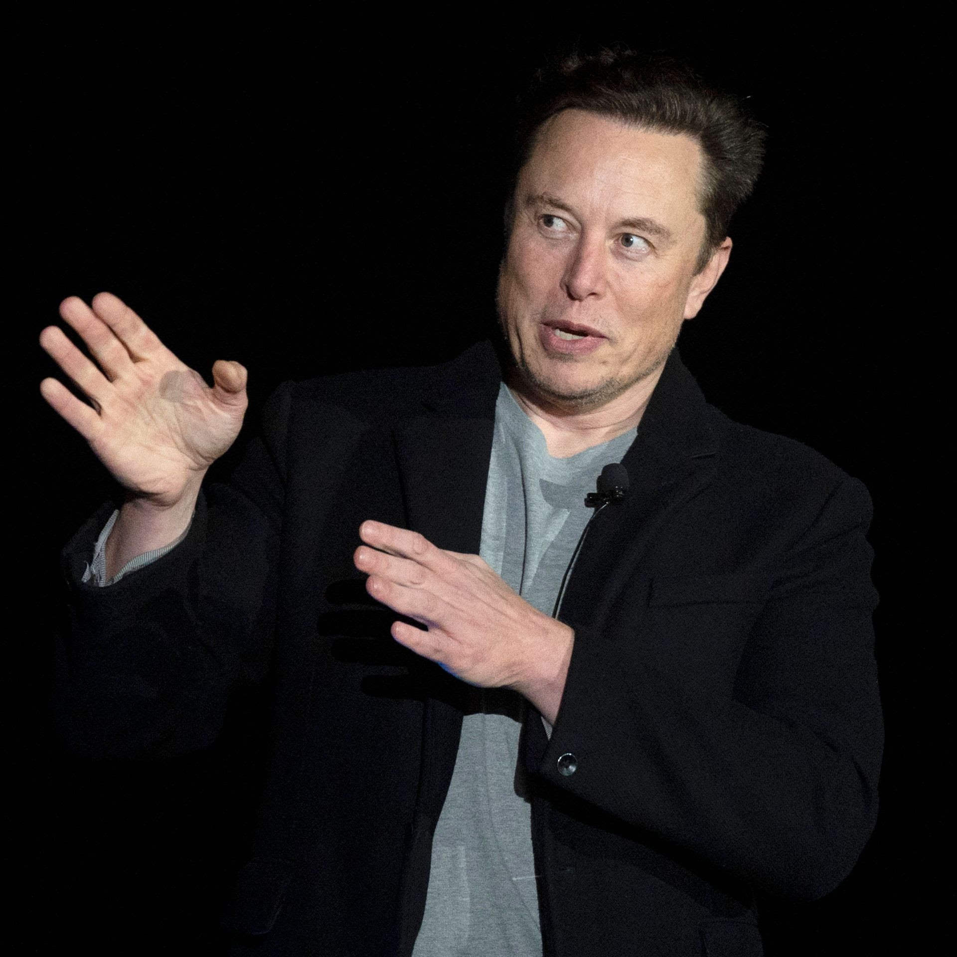 Musk's Twitter "amnesty" plan for suspended accounts alarms activists