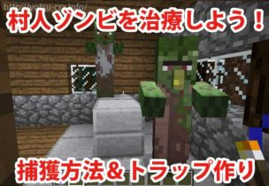 最高のマインクラフト 新鮮なマイクラ 村人 デスポーン 条件