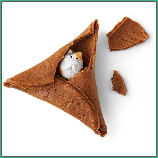 fellissimo-fortune-cookies