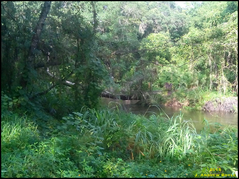 River River