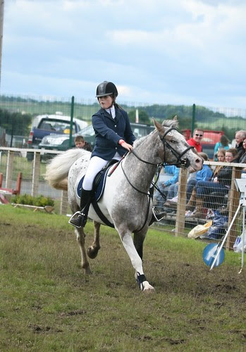Showjumping