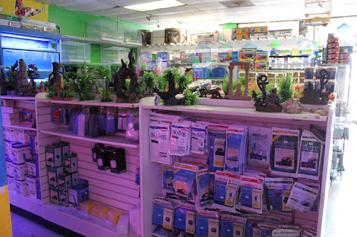 Pet Store «D D Fish & Pets», reviews and photos, 2413 S Fairview St, Santa Ana, CA 92704, USA