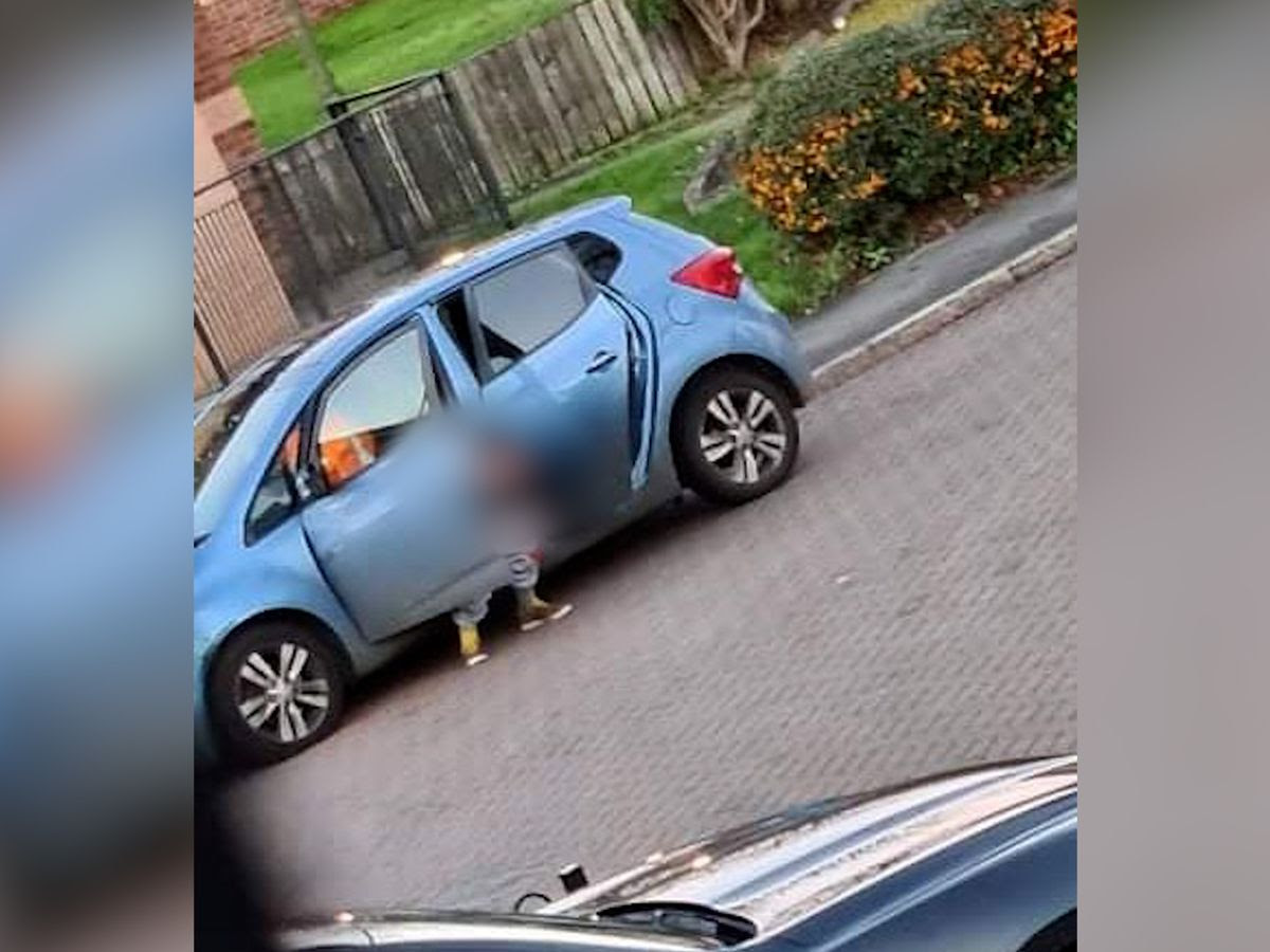 Disgust as woman steps out of car to defecate in street