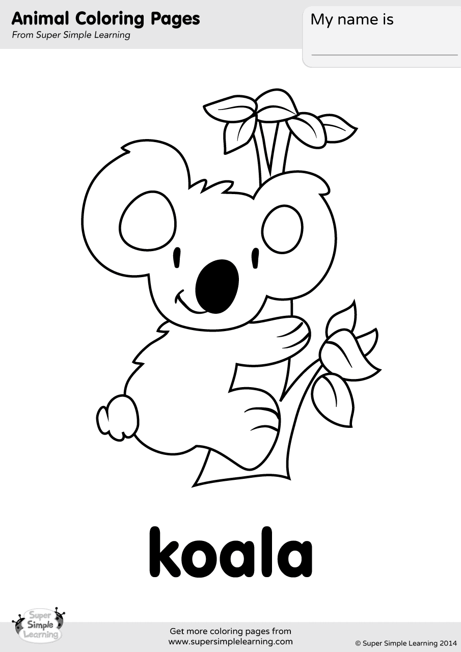 Coloring Pages For Kids Koala Drawing With Crayons