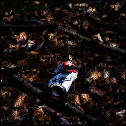 Myths of the New Forest: Detritus #28817