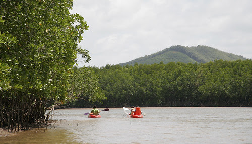Kayaks in Phuket