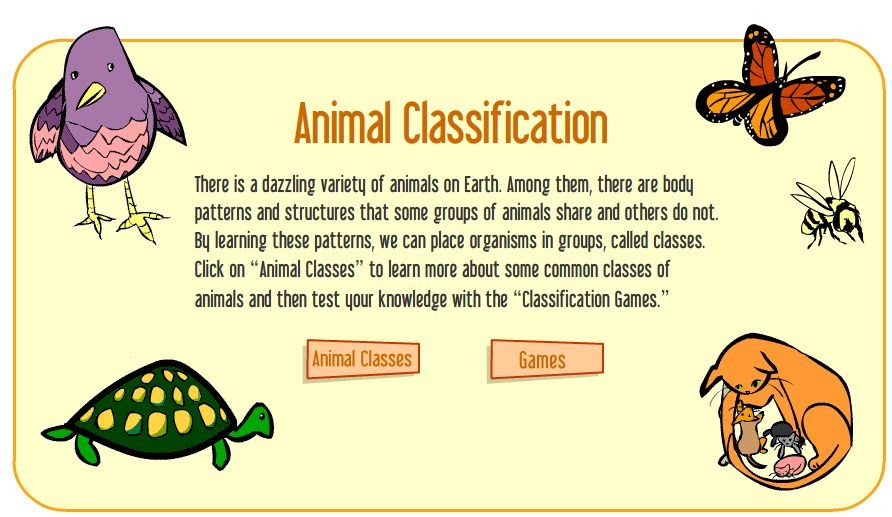 animal-worksheet-new-446-animal-kingdom-worksheet-grade-6