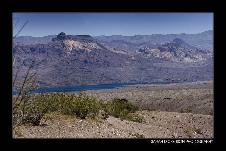 IMG_4324
