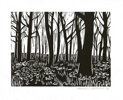 'early spring' - edamamepress on Flickr 'early spring' - edamamepress on Flickr