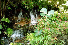 Ruiz National Park, Uruapan