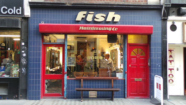 Fish