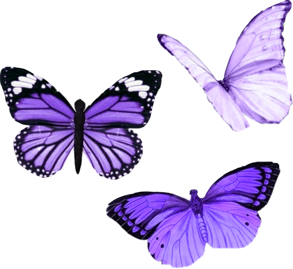 butterfly purple aesthetic tumblr...