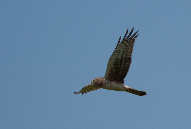 Photo & Video Sharing by SmugMug Photo & Video Sharing by SmugMug
