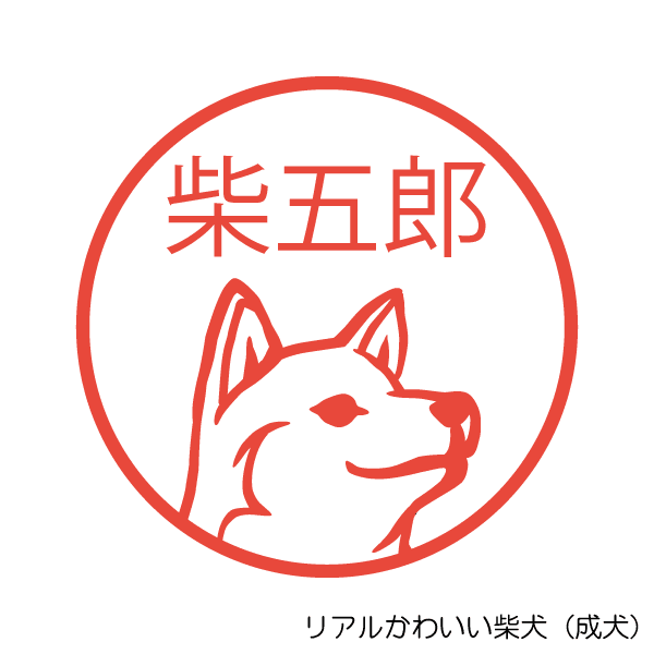 35 柴犬 イラスト リアル かわいいフリー素材集 いらすとや