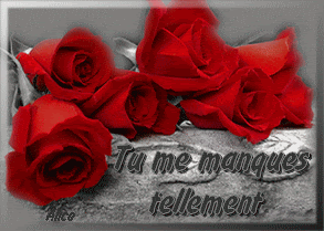 Q Tbn And9gcsxzikbaf5c Iq0ipz8ekl4aiug65f Megvvq Usqp Cau
