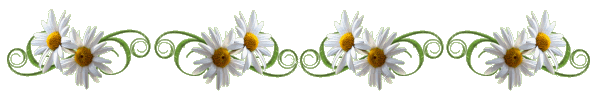 SEPARATEUR-BLOG