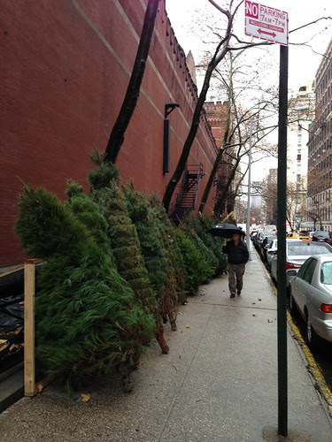 Christmas tree sales