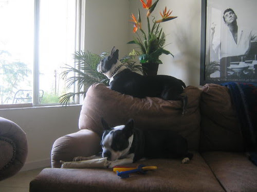 Joey and Tanner wait for the guests