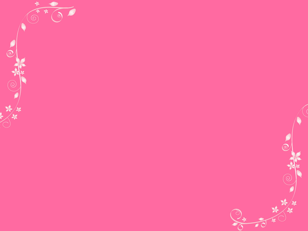 Background Polos Warna Pink  Koleksi Gambar HD
