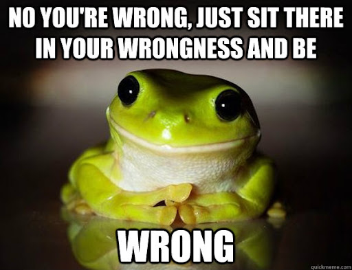 No you're wrong, just sit there in your wrongness and be wrong - Fascinated  Frog - quickmeme