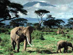 Tanzania Tanzania