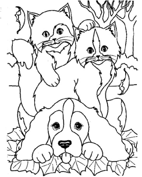 Disegni Da Colorare Gattini E Cagnolini Coloradisegni