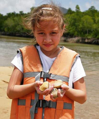 My daughter has been digging for shells