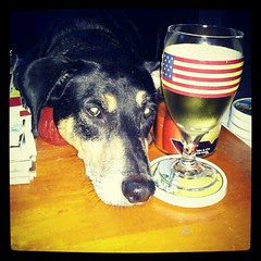 Tut wants #wine too! #unhappy #noelectricity #Sandy #dogs #hound #dogstagram