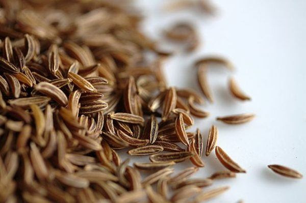 230-plantas-medicinales-mas-efectivas-y-sus-usos-alcaravea-semillas