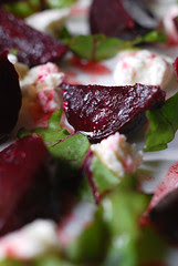 Roasted Baby Beetroot and Goats Cheese Salad© by Haalo