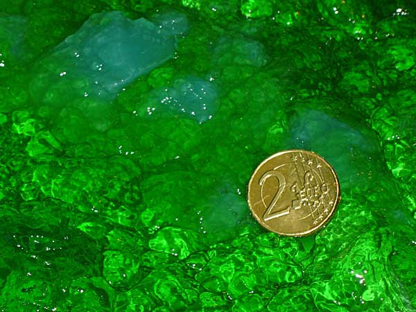 green jelly and a chocolate coin