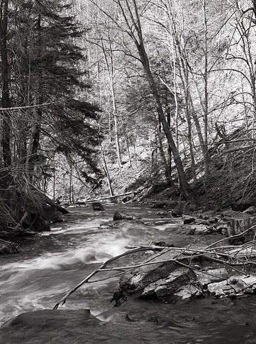 Looking Down the Gorge