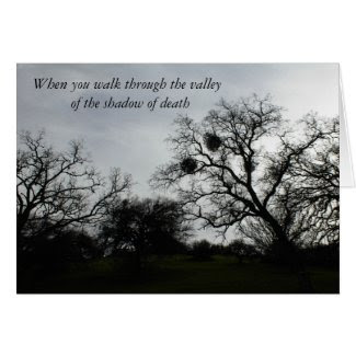 Inspirational Comfort Card: Oaks against gray sky Greeting Card