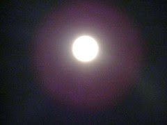 DSC06778