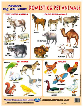 18+ Pet Animals List In Hindi Pictures