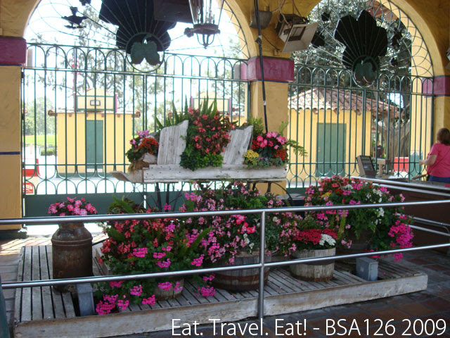 Flower Display