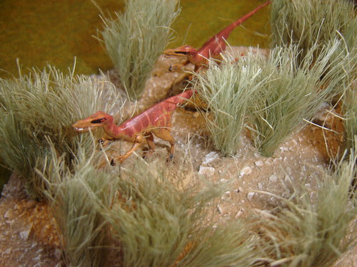Raptors move through the high grass