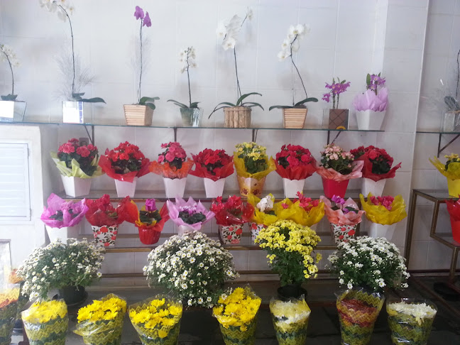 Floricultura Alpendre - Floricultura