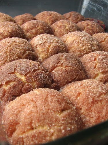 Cinnamon Doughnut Holes